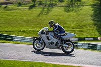 cadwell-no-limits-trackday;cadwell-park;cadwell-park-photographs;cadwell-trackday-photographs;enduro-digital-images;event-digital-images;eventdigitalimages;no-limits-trackdays;peter-wileman-photography;racing-digital-images;trackday-digital-images;trackday-photos
